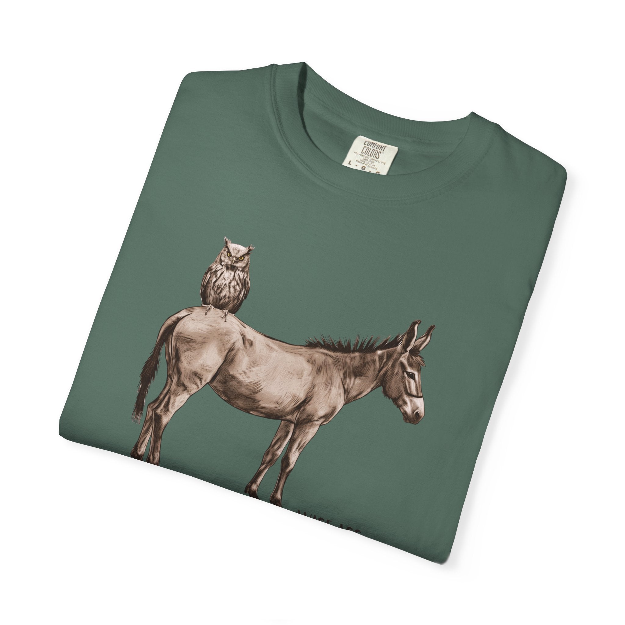 Certified Wise Ass Graphic Tee, Funny Donkey & Owl Shirt, Sarcastic Humor T-Shirt, Comfort Colors Vintage Style, Unisex Gag Gift