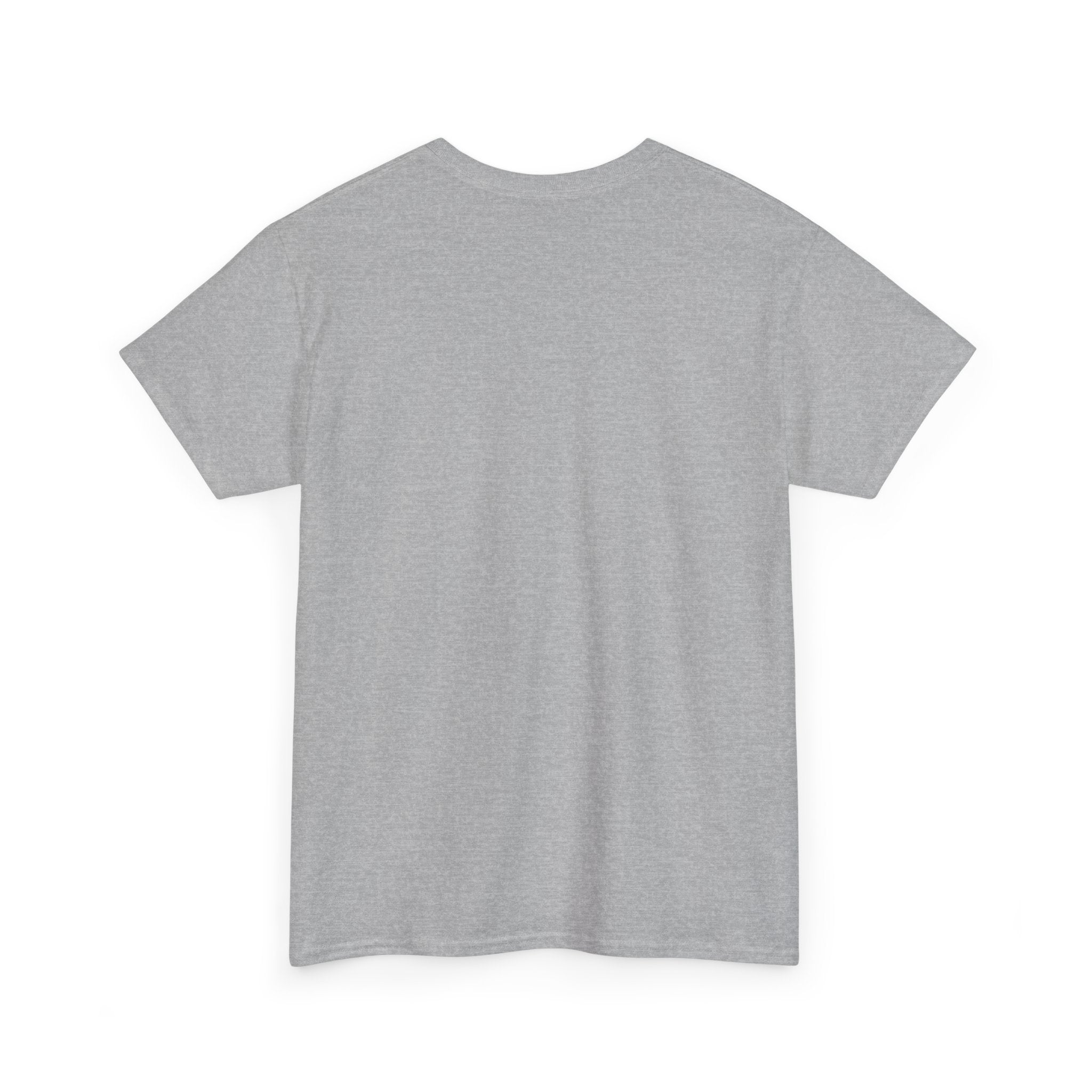 Anti-Swifty Unisex Heavy Cotton Tee