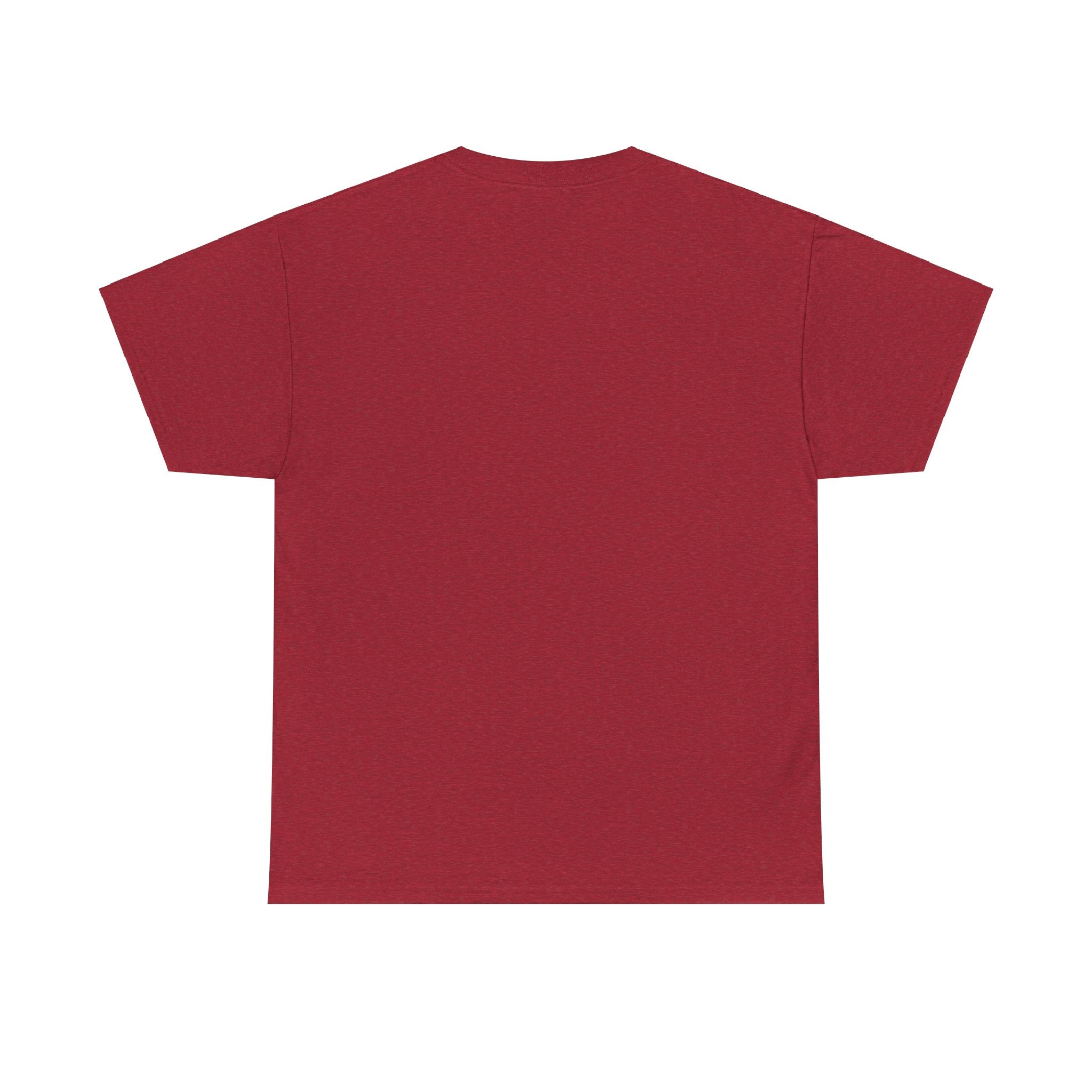 Anti-Swifty Unisex Heavy Cotton Tee
