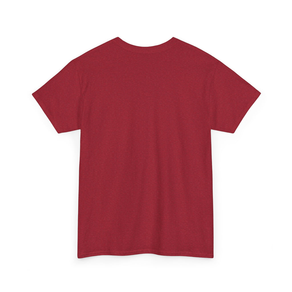 Anti-Swifty Unisex Heavy Cotton Tee