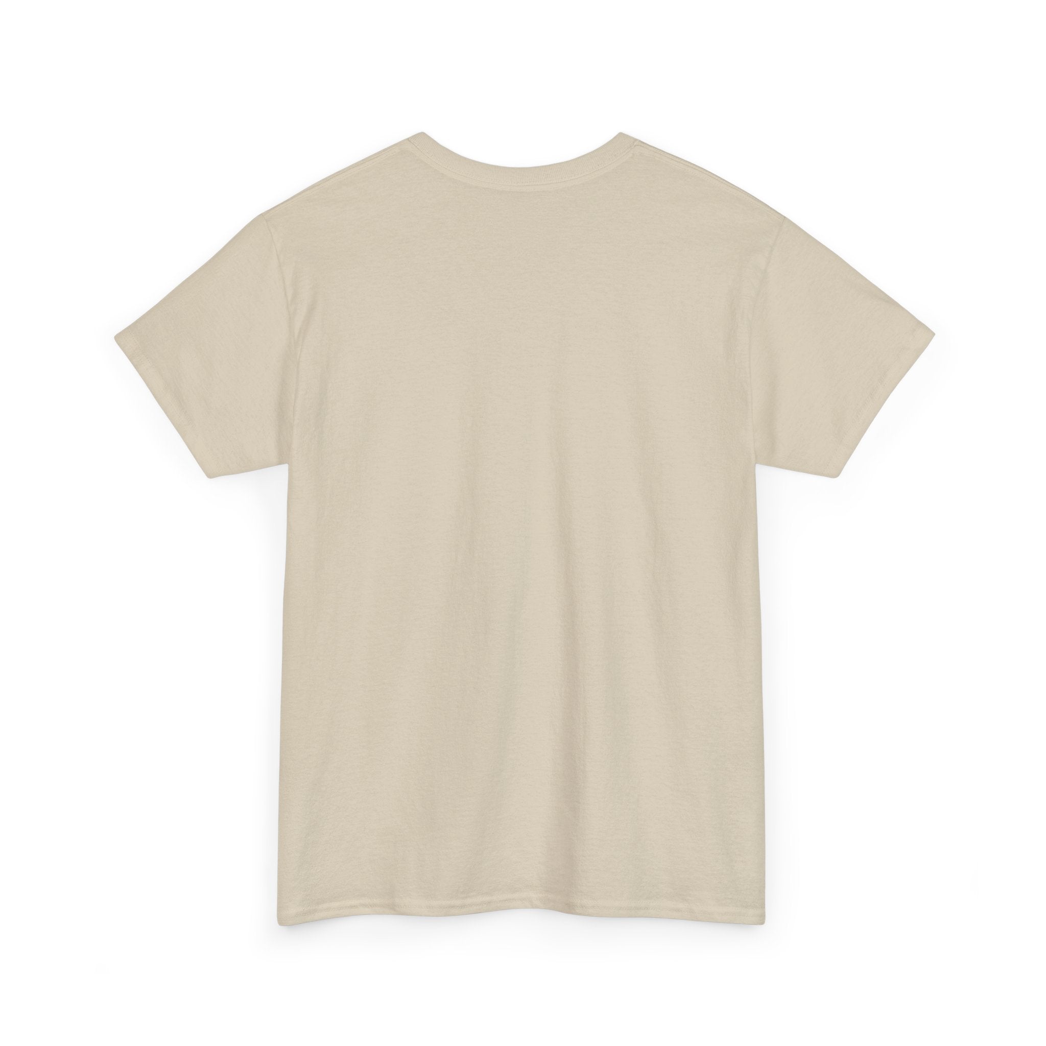 Anti-Swifty Unisex Heavy Cotton Tee