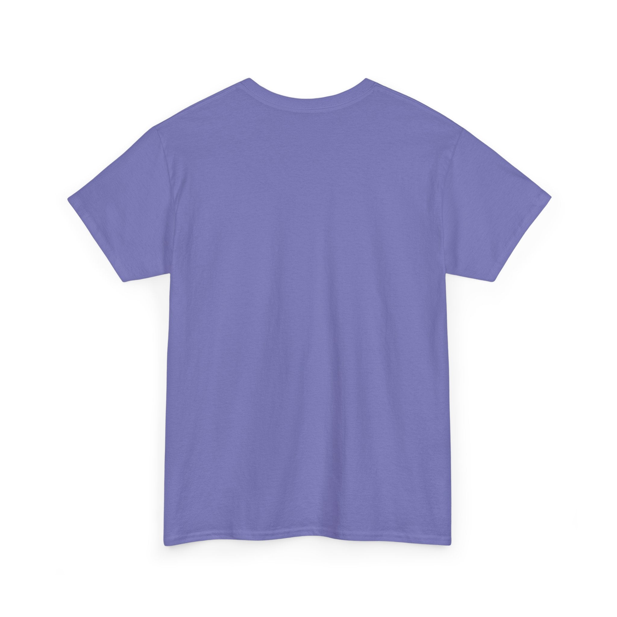 Anti-Swifty Unisex Heavy Cotton Tee