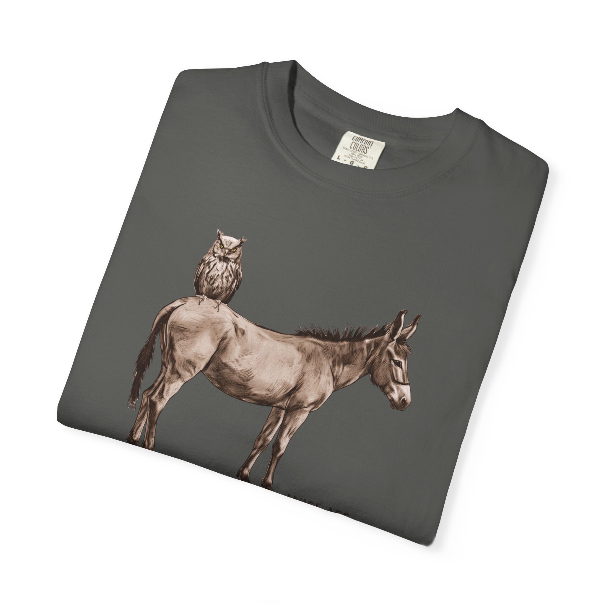 Certified Wise Ass Graphic Tee, Funny Donkey & Owl Shirt, Sarcastic Humor T-Shirt, Comfort Colors Vintage Style, Unisex Gag Gift