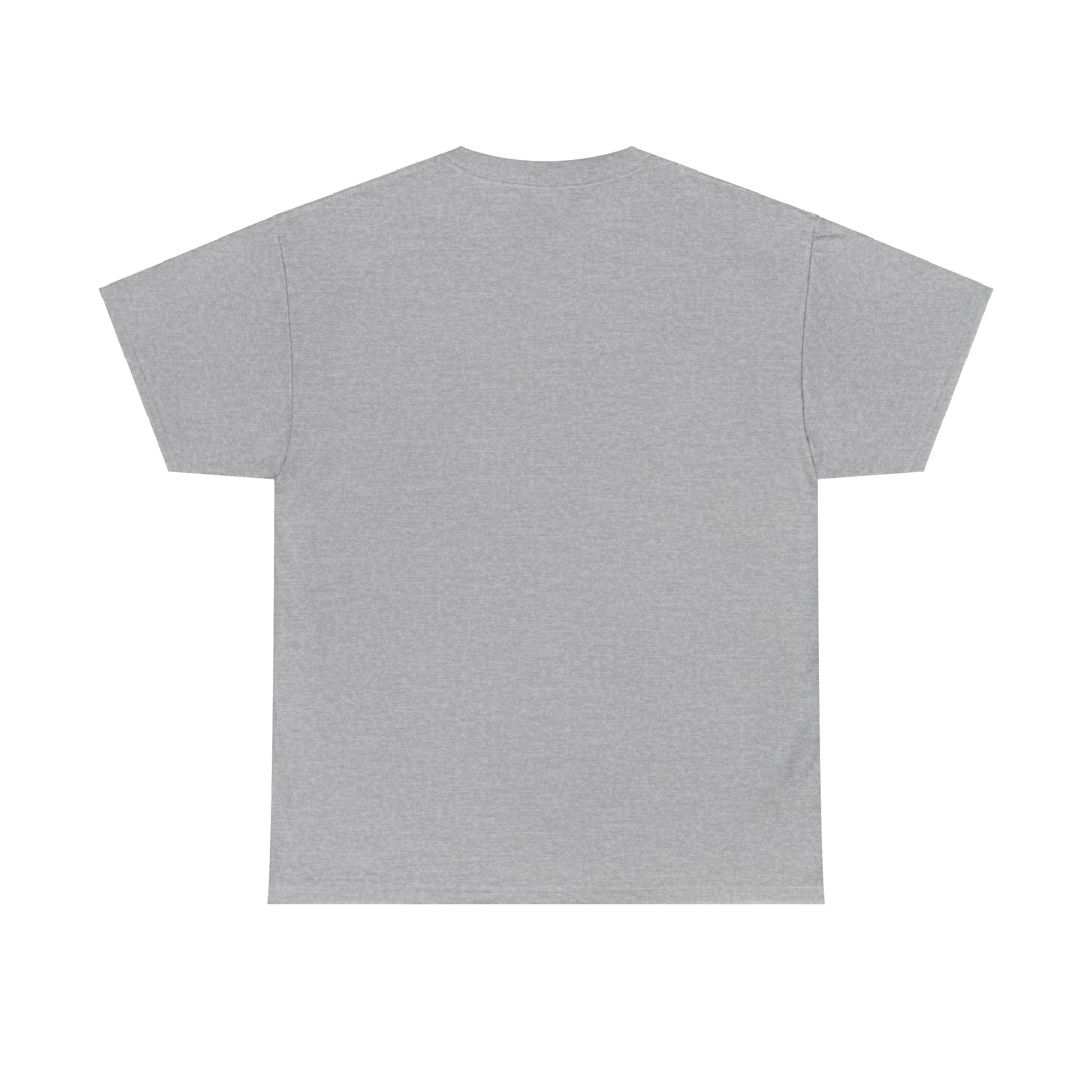 Anti-Swifty Unisex Heavy Cotton Tee